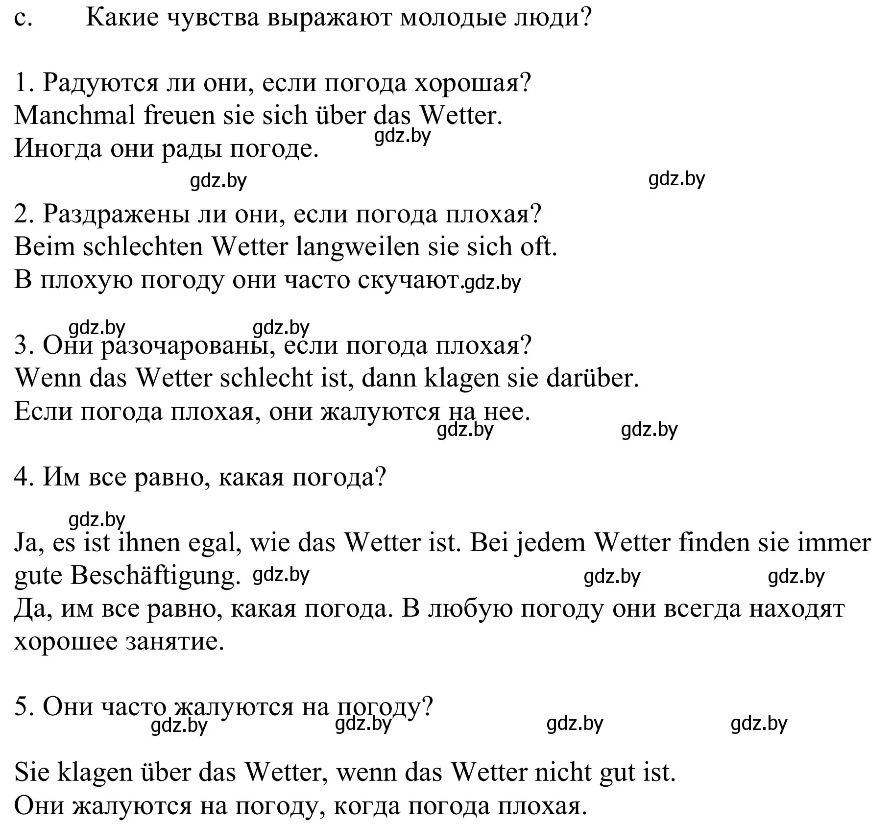 Решение номер 7c (страница 224) гдз по немецкому языку 9 класс Будько, Урбанович, учебник