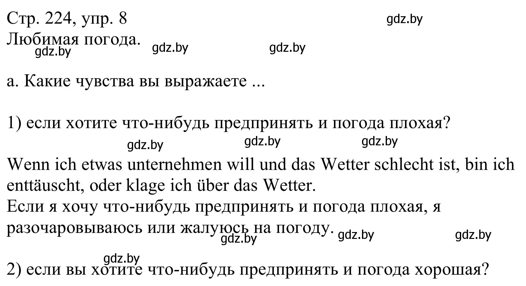 Решение номер 8a (страница 224) гдз по немецкому языку 9 класс Будько, Урбанович, учебник