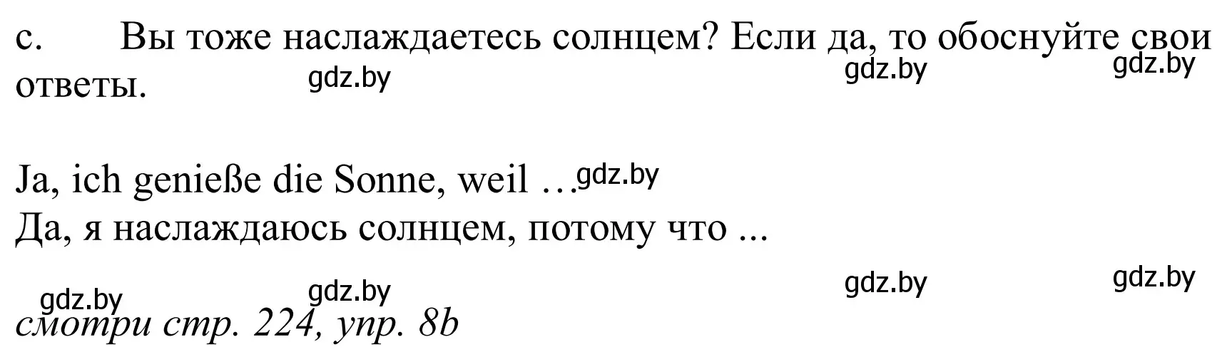 Решение номер 8c (страница 225) гдз по немецкому языку 9 класс Будько, Урбанович, учебник