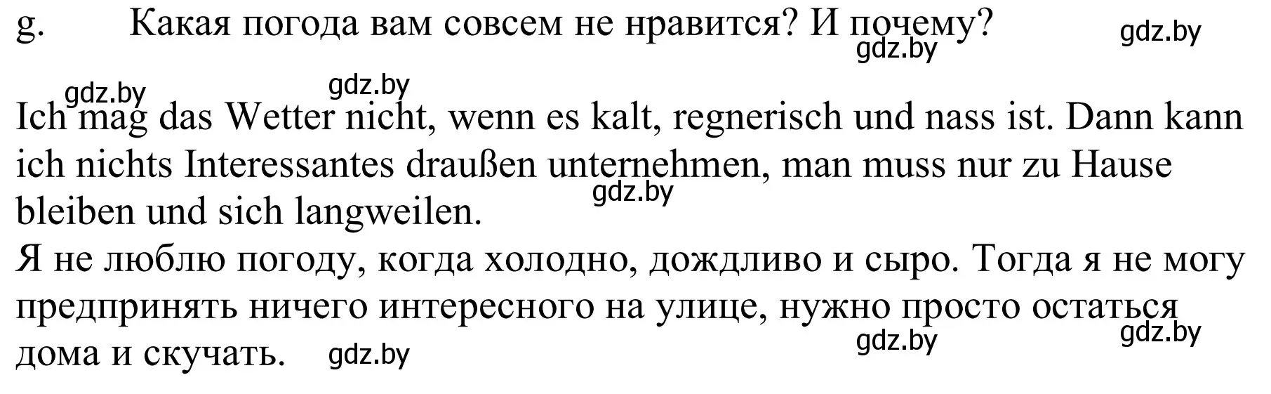 Решение номер 8g (страница 225) гдз по немецкому языку 9 класс Будько, Урбанович, учебник