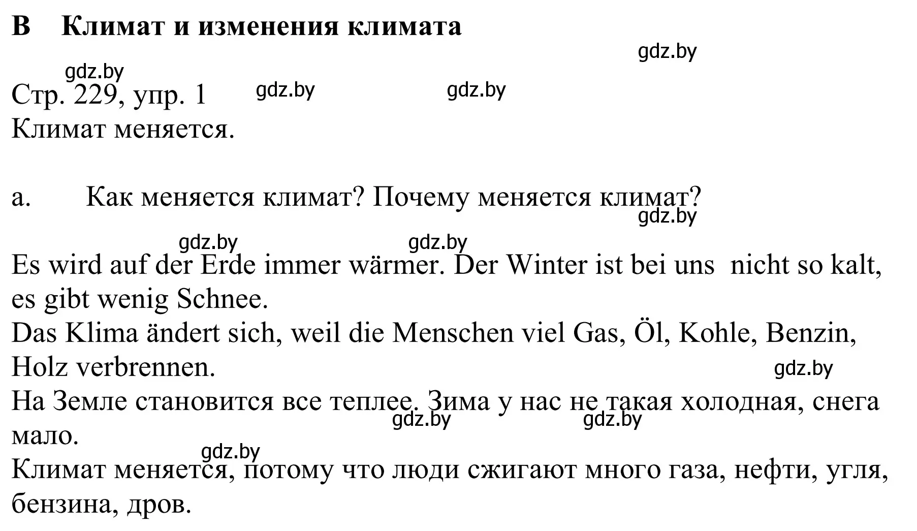 Решение номер 1a (страница 228) гдз по немецкому языку 9 класс Будько, Урбанович, учебник