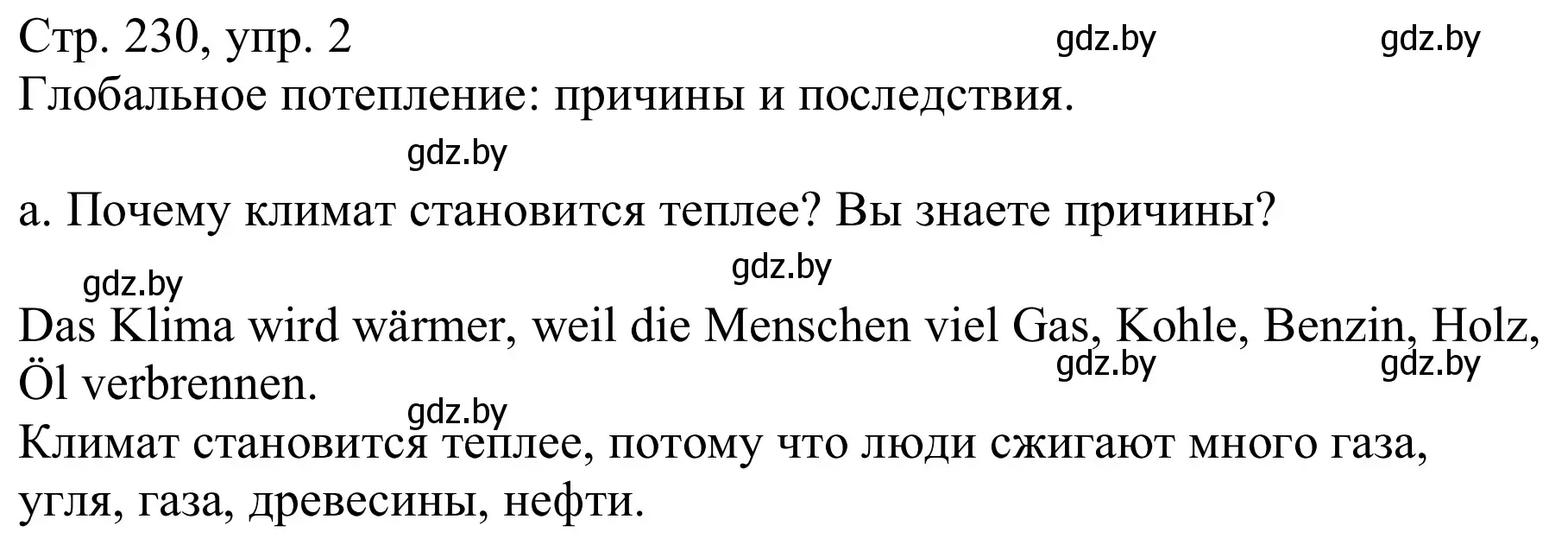 Решение номер 2a (страница 230) гдз по немецкому языку 9 класс Будько, Урбанович, учебник