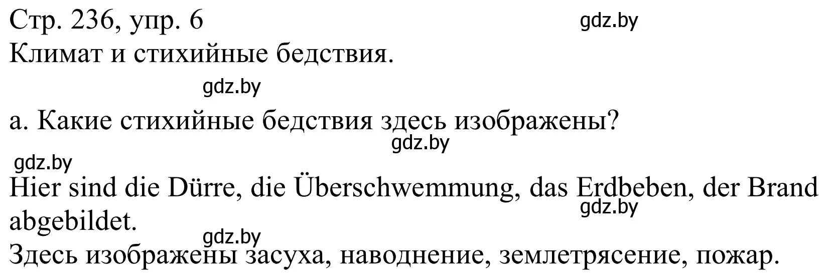 Решение номер 6a (страница 236) гдз по немецкому языку 9 класс Будько, Урбанович, учебник