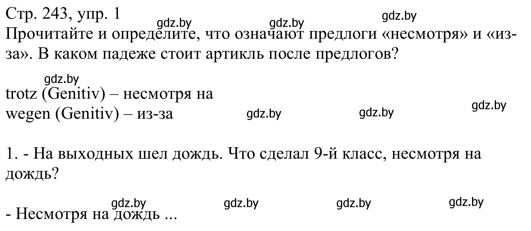 Решение номер 1 (страница 243) гдз по немецкому языку 9 класс Будько, Урбанович, учебник