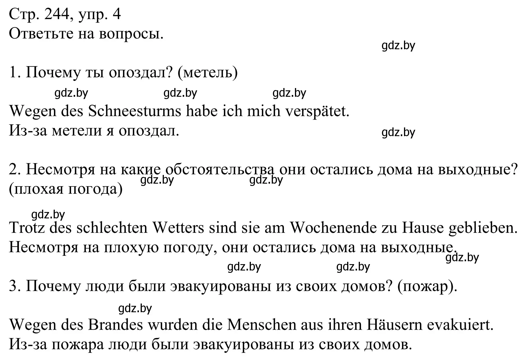 Решение номер 4 (страница 244) гдз по немецкому языку 9 класс Будько, Урбанович, учебник