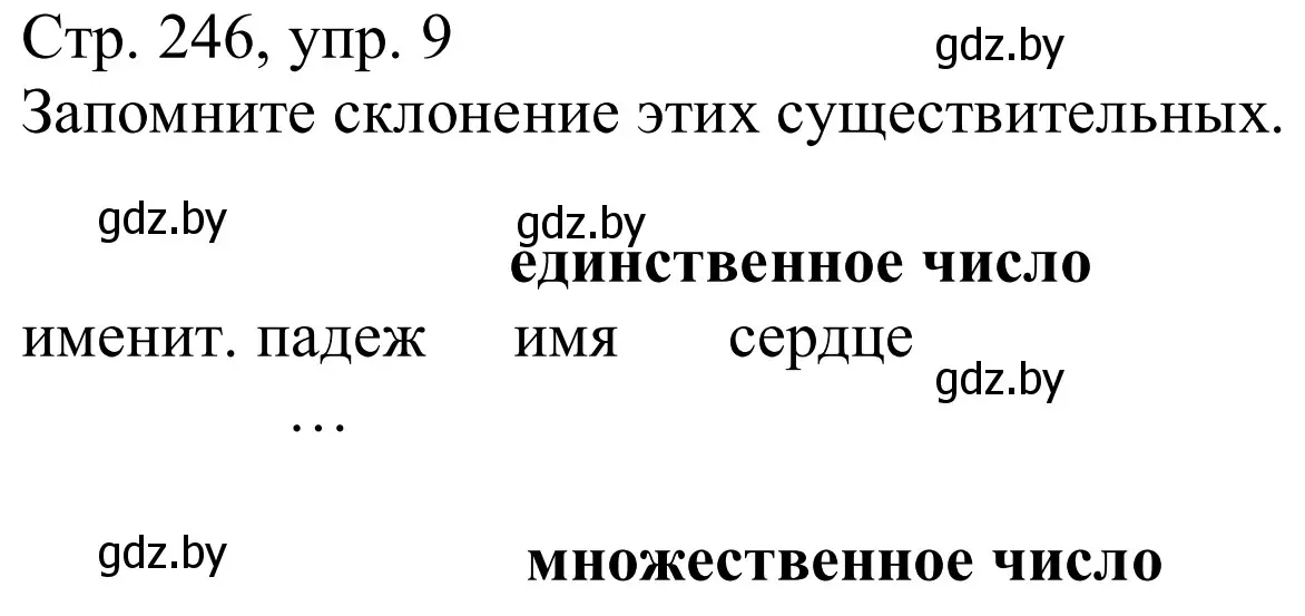 Решение номер 9 (страница 246) гдз по немецкому языку 9 класс Будько, Урбанович, учебник