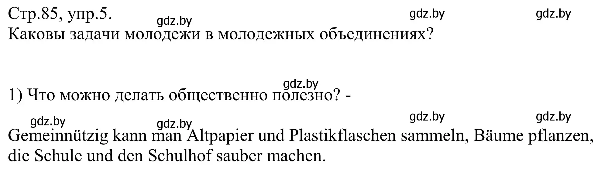 Решение номер 5 (страница 85) гдз по немецкому языку 10 класс Будько, Урбанович, рабочая тетрадь