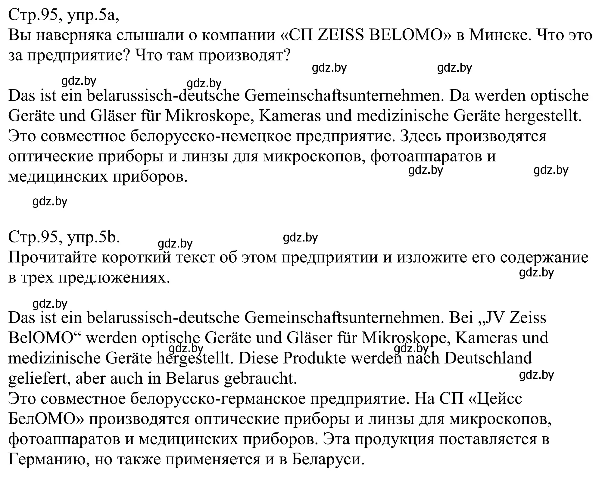 Решение номер 5 (страница 95) гдз по немецкому языку 10 класс Будько, Урбанович, рабочая тетрадь