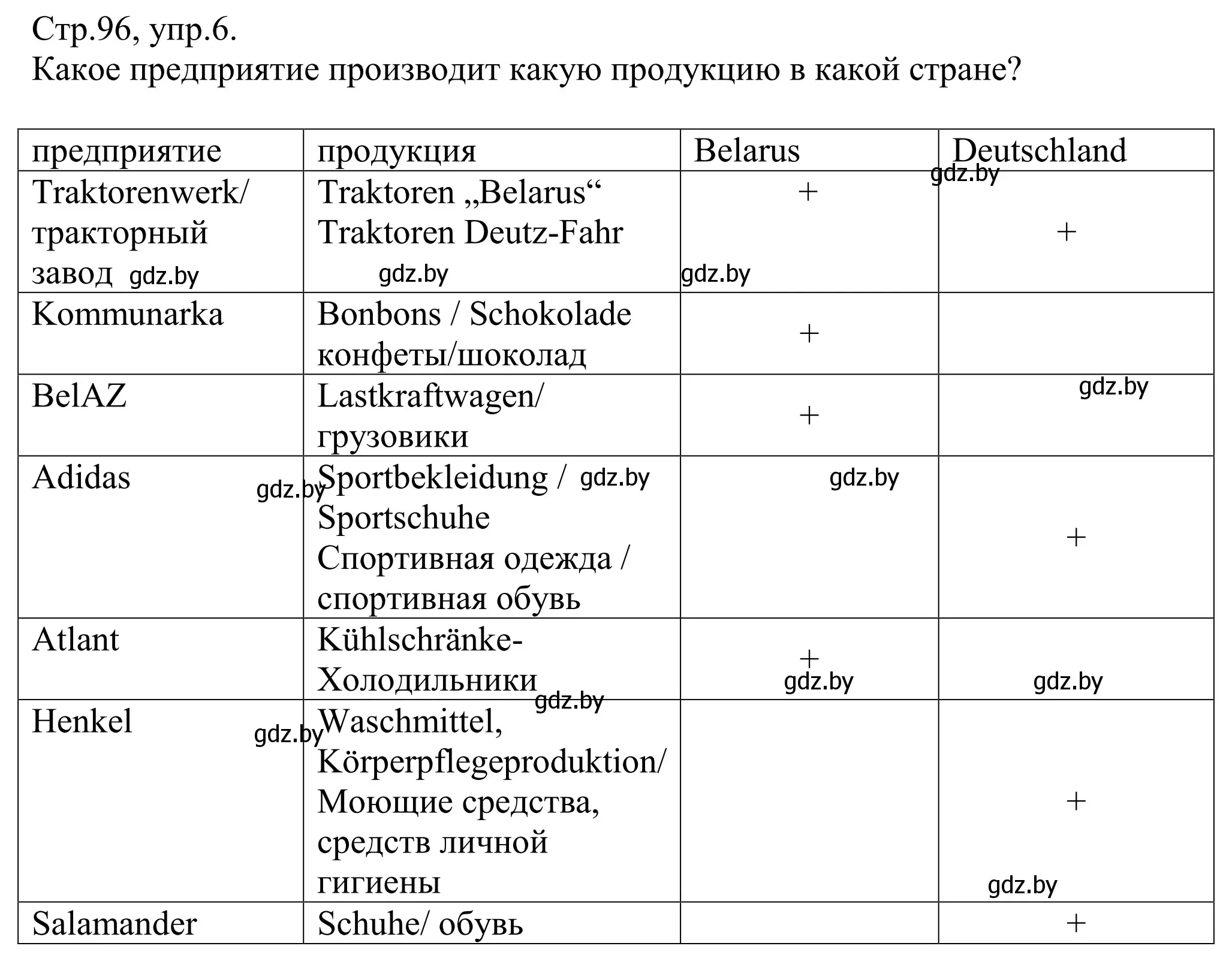 Решение номер 6 (страница 96) гдз по немецкому языку 10 класс Будько, Урбанович, рабочая тетрадь