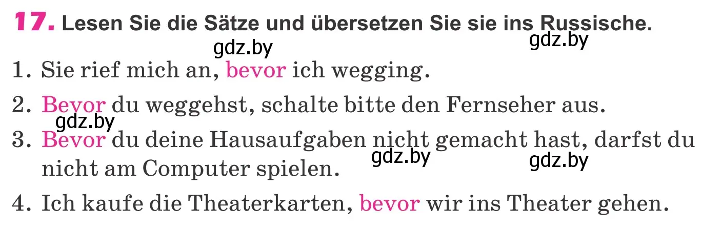 Условие номер 17 (страница 299) гдз по немецкому языку 10 класс Будько, Урбанович, учебник