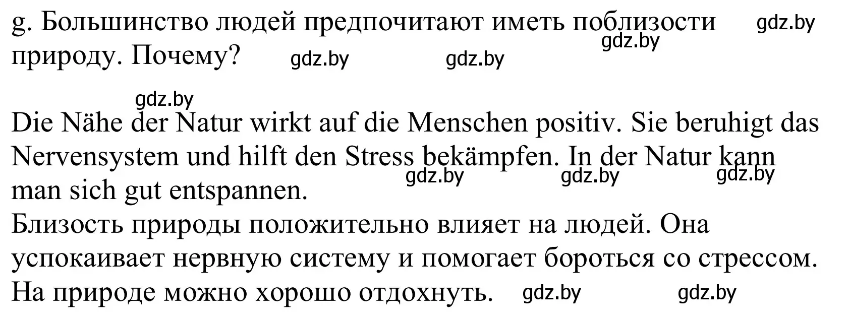 Решение номер 1g (страница 19) гдз по немецкому языку 10 класс Будько, Урбанович, учебник