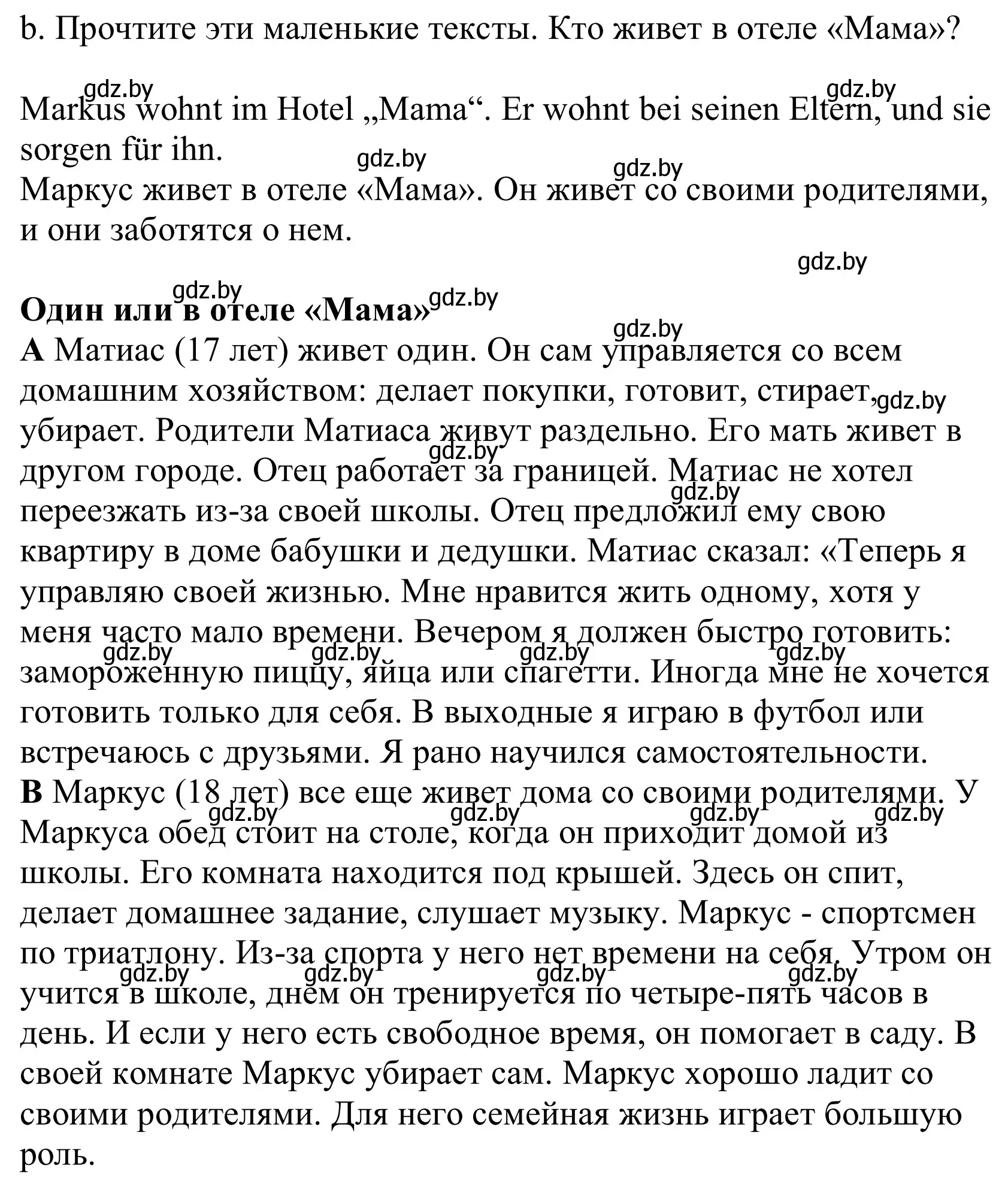 Решение номер 2b (страница 28) гдз по немецкому языку 10 класс Будько, Урбанович, учебник