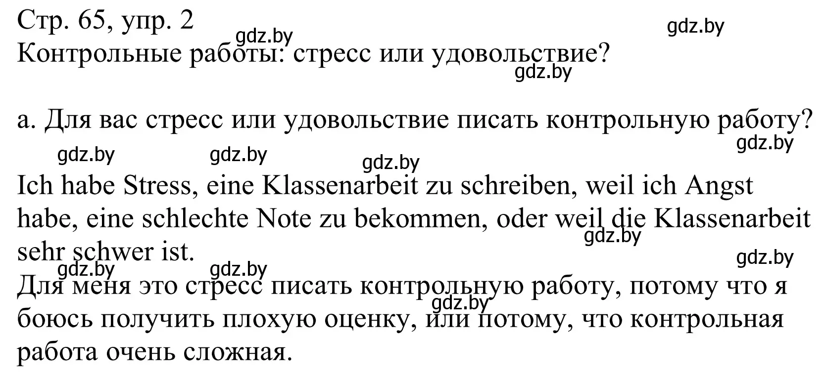 Решение номер 2a (страница 65) гдз по немецкому языку 10 класс Будько, Урбанович, учебник