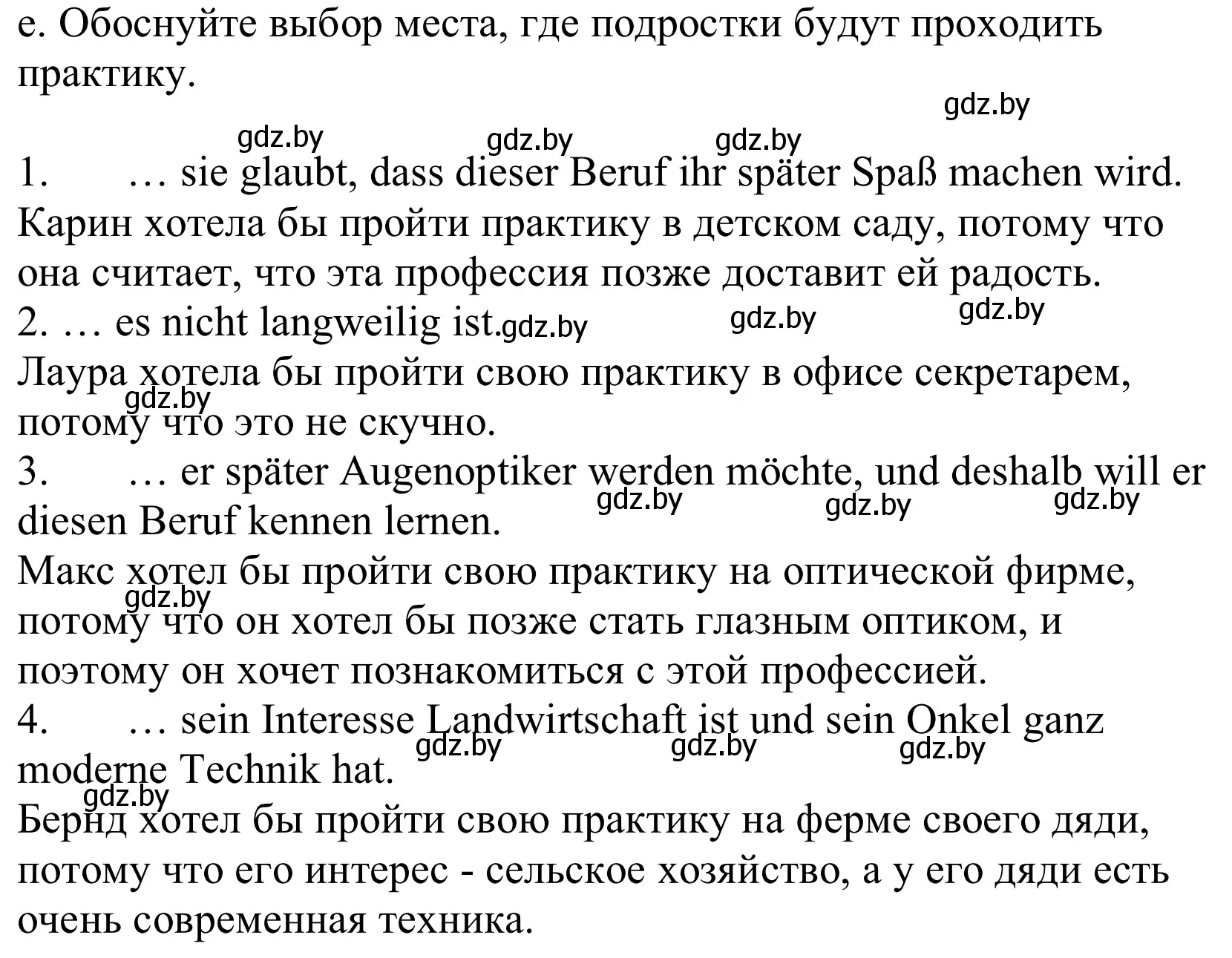 Решение номер 4e (страница 70) гдз по немецкому языку 10 класс Будько, Урбанович, учебник