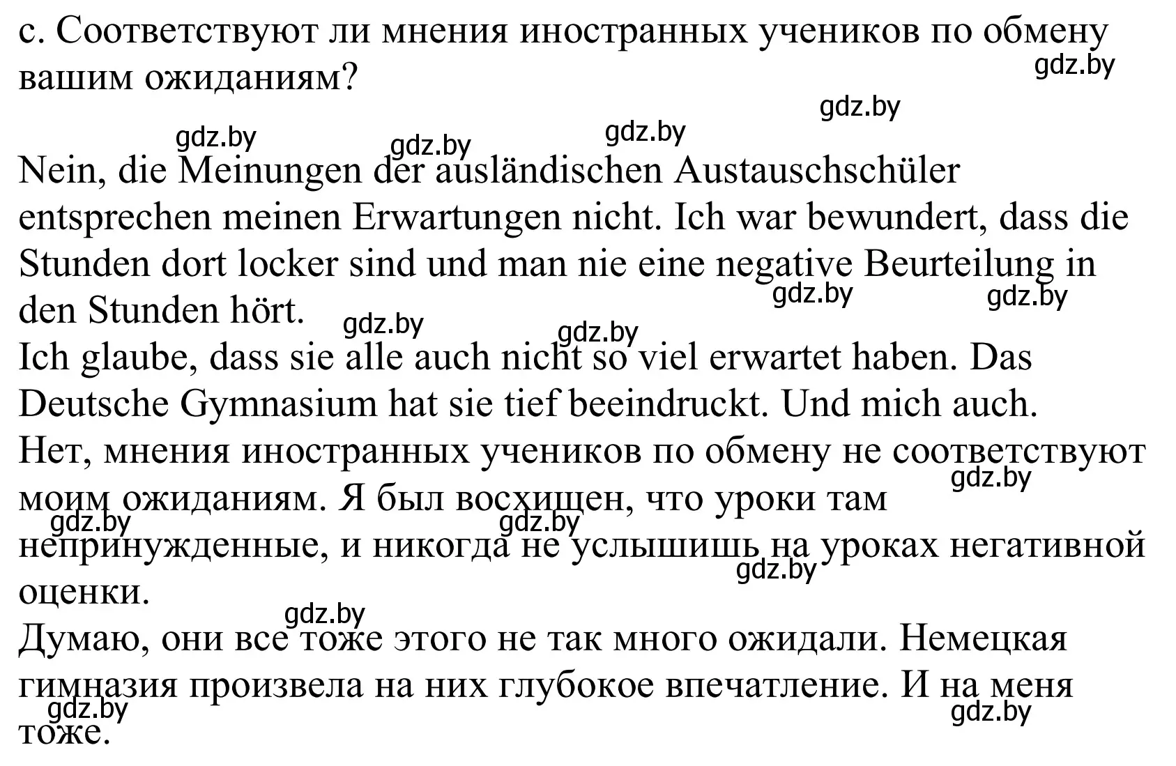 Решение номер 3c (страница 85) гдз по немецкому языку 10 класс Будько, Урбанович, учебник