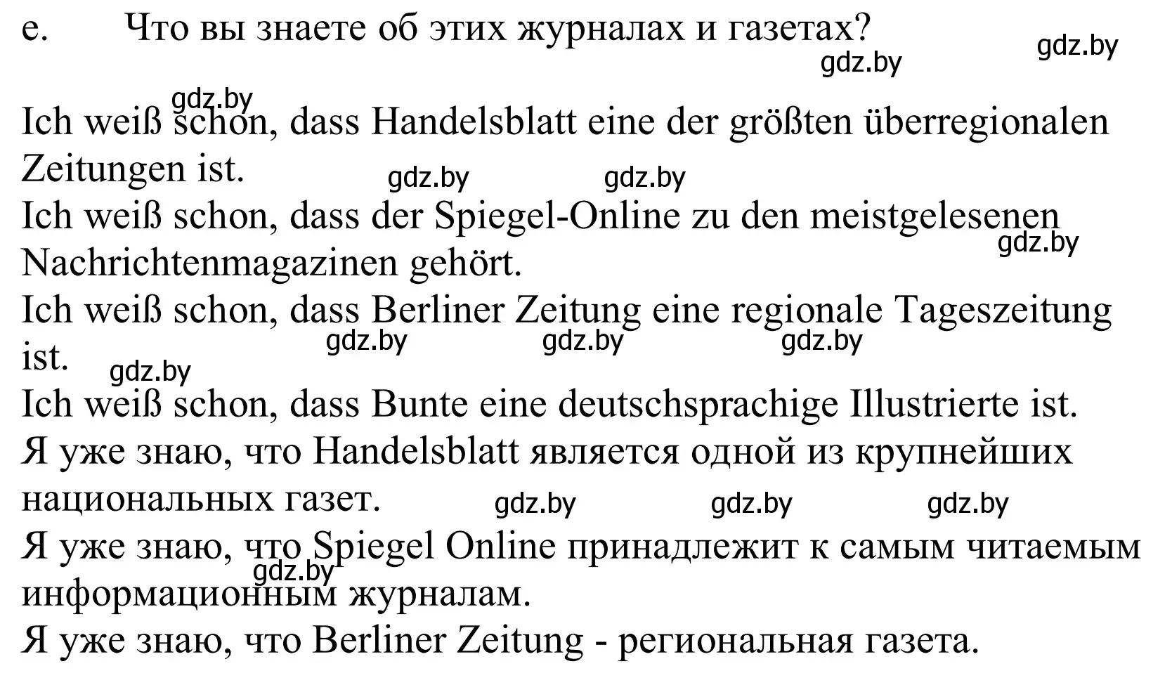 Решение номер 3e (страница 95) гдз по немецкому языку 10 класс Будько, Урбанович, учебник