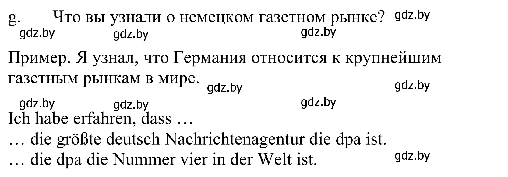 Решение номер 3g (страница 95) гдз по немецкому языку 10 класс Будько, Урбанович, учебник