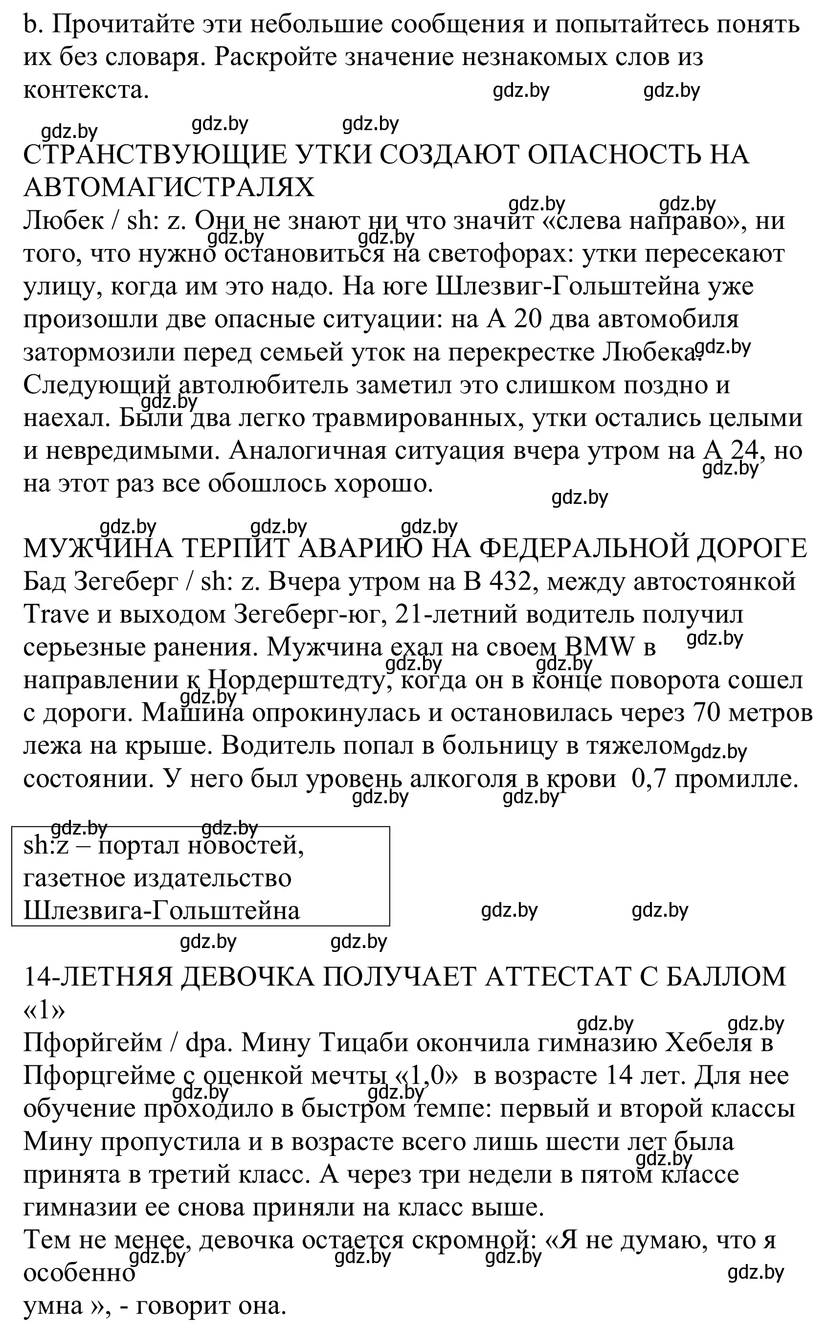 Решение номер 3b (страница 106) гдз по немецкому языку 10 класс Будько, Урбанович, учебник