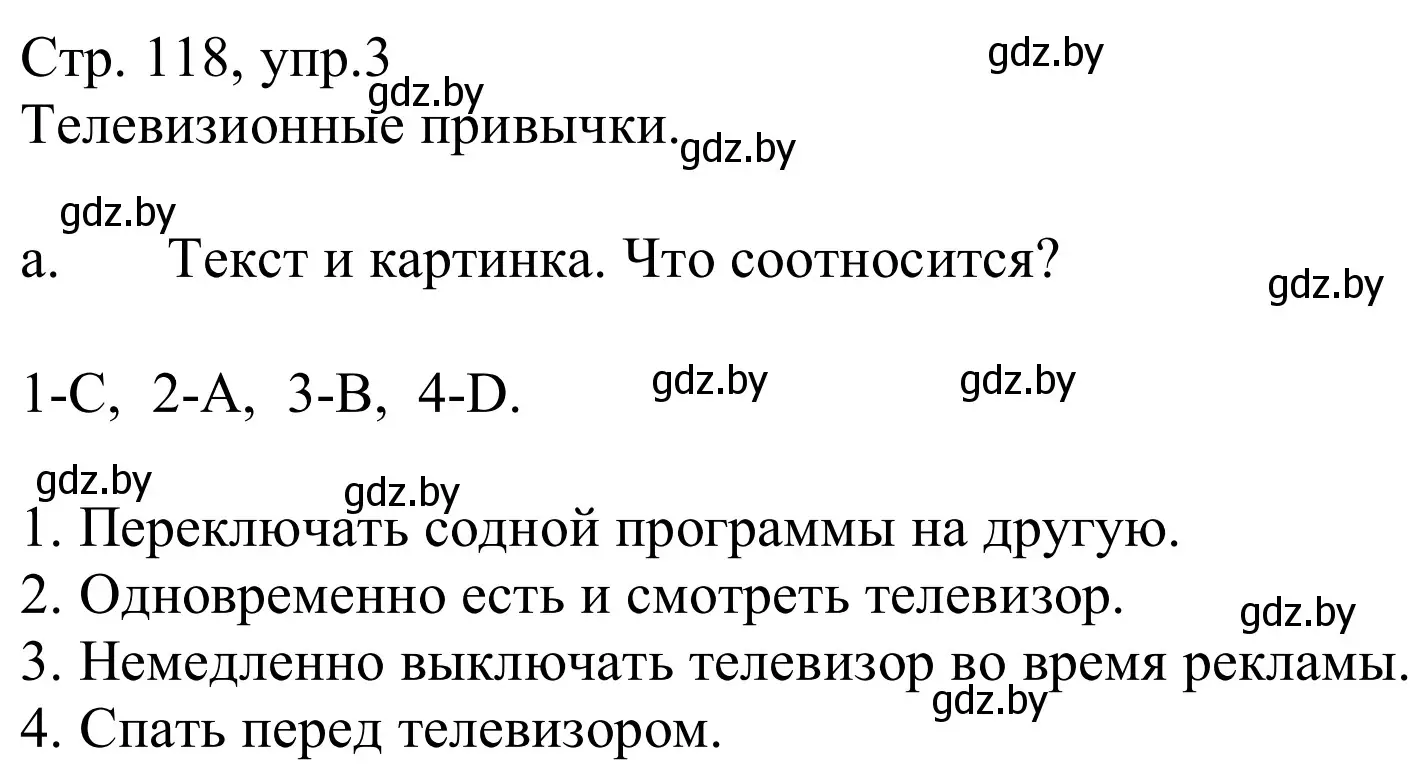 Решение номер 3a (страница 118) гдз по немецкому языку 10 класс Будько, Урбанович, учебник