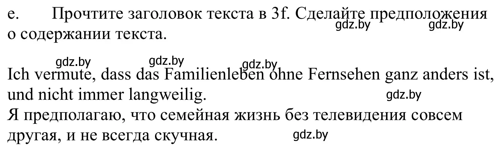 Решение номер 3e (страница 119) гдз по немецкому языку 10 класс Будько, Урбанович, учебник