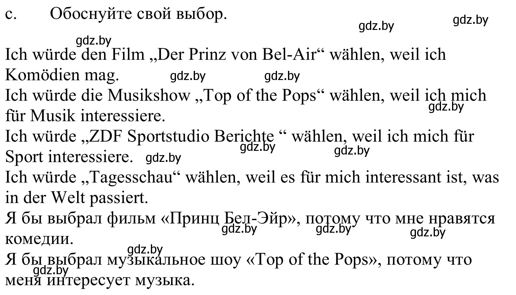 Решение номер 6c (страница 124) гдз по немецкому языку 10 класс Будько, Урбанович, учебник