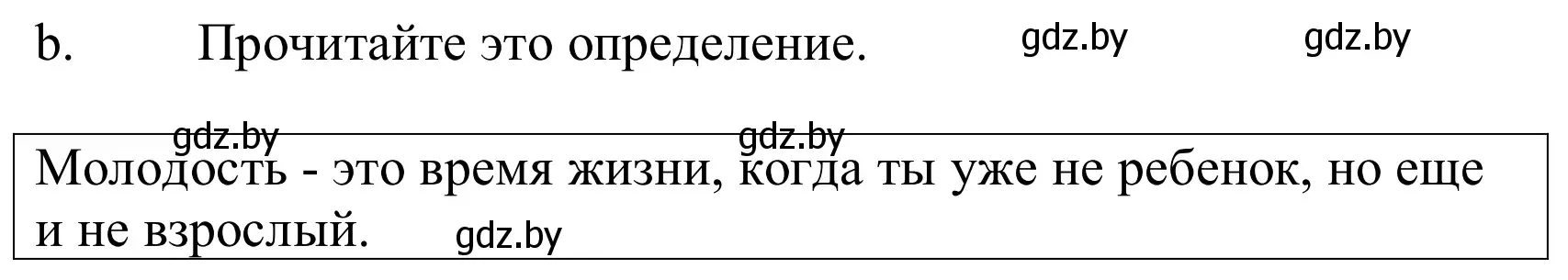 Решение номер 5b (страница 189) гдз по немецкому языку 10 класс Будько, Урбанович, учебник