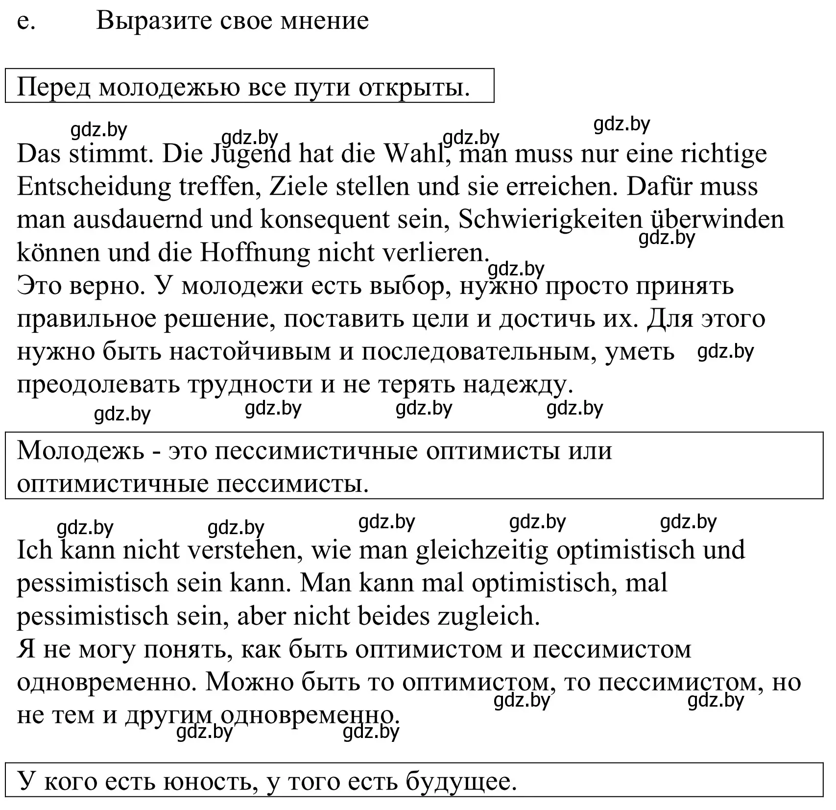 Решение номер 3e (страница 196) гдз по немецкому языку 10 класс Будько, Урбанович, учебник