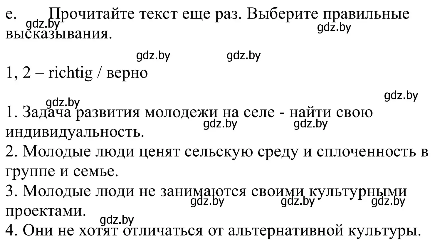 Решение номер 4e (страница 204) гдз по немецкому языку 10 класс Будько, Урбанович, учебник