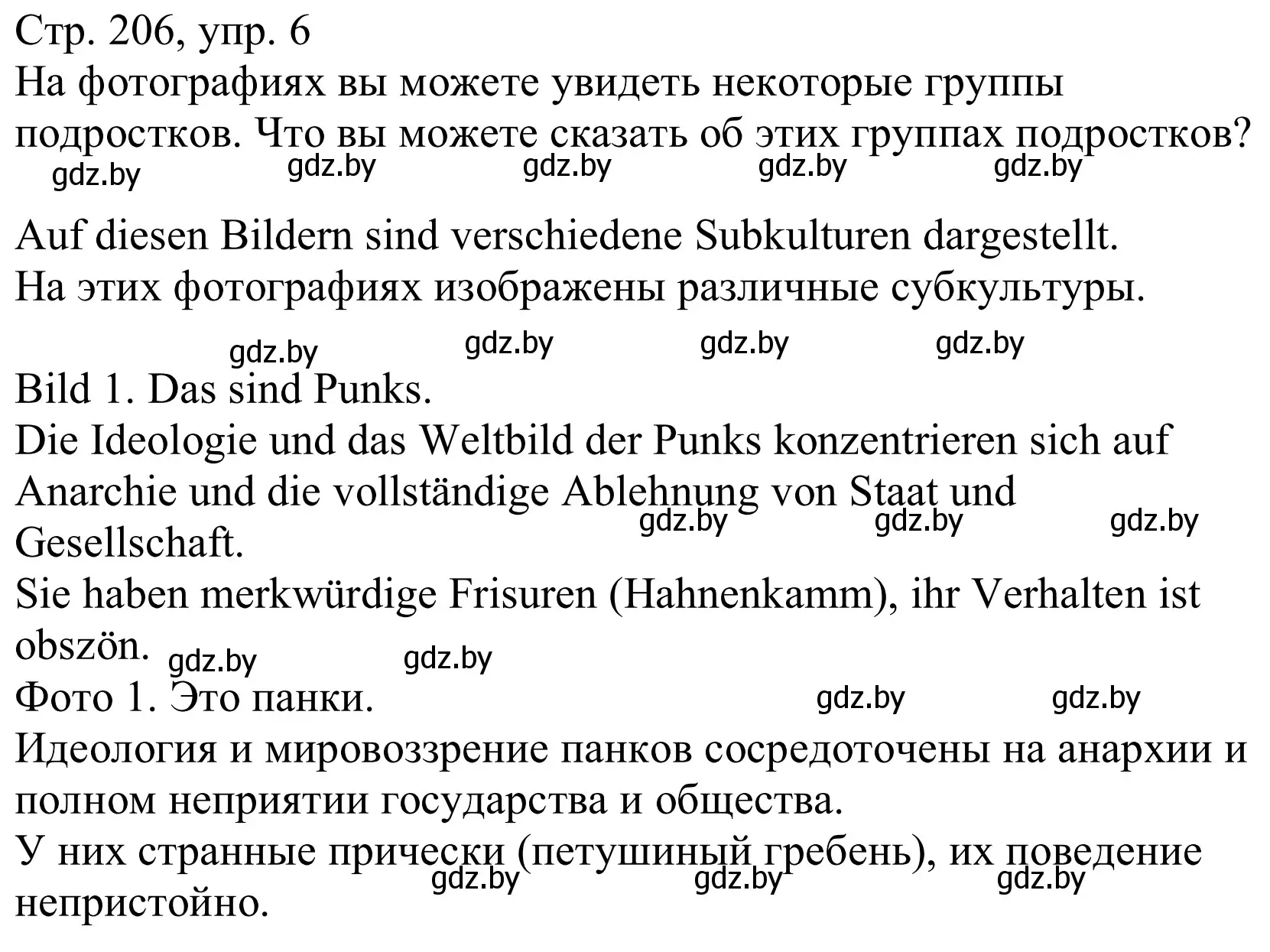 Решение номер 6a (страница 206) гдз по немецкому языку 10 класс Будько, Урбанович, учебник
