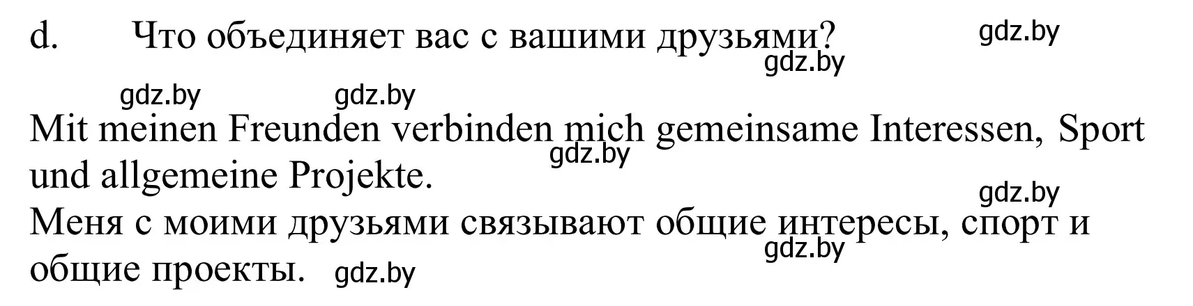 Решение номер 6d (страница 206) гдз по немецкому языку 10 класс Будько, Урбанович, учебник