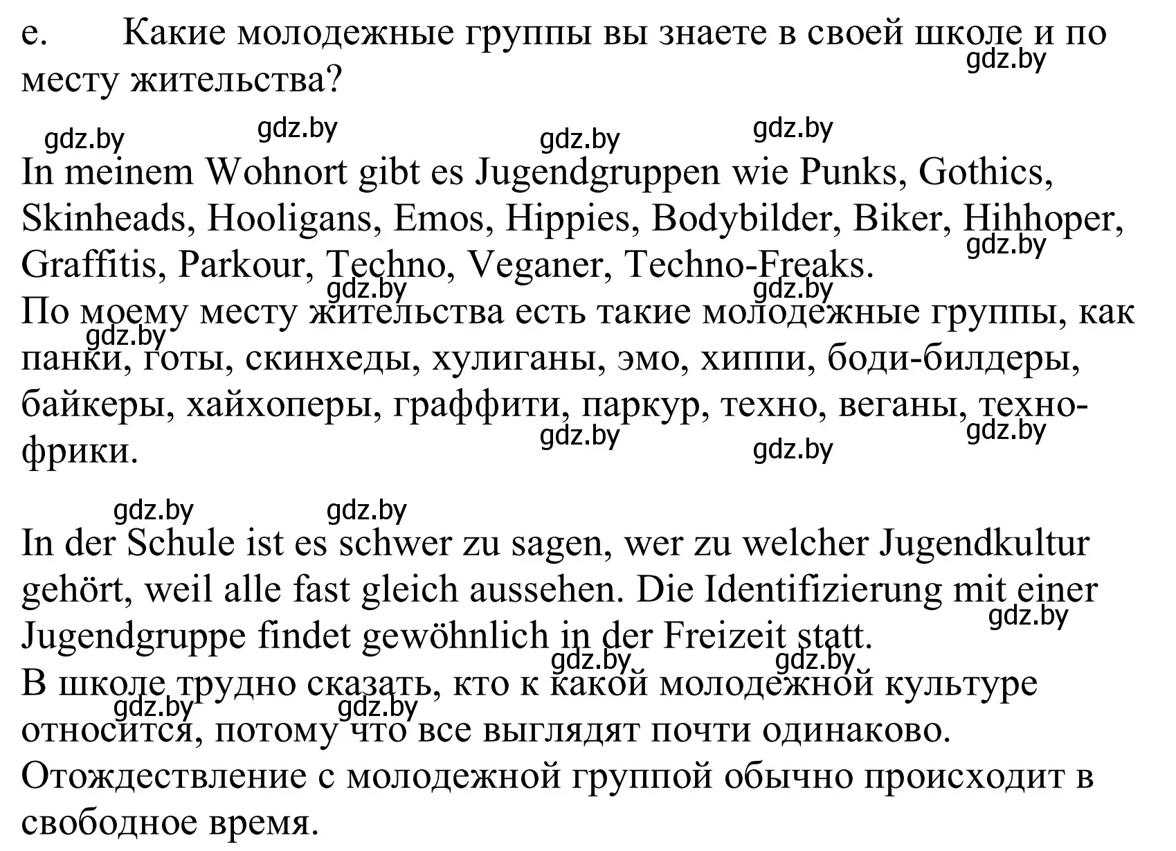 Решение номер 6e (страница 207) гдз по немецкому языку 10 класс Будько, Урбанович, учебник