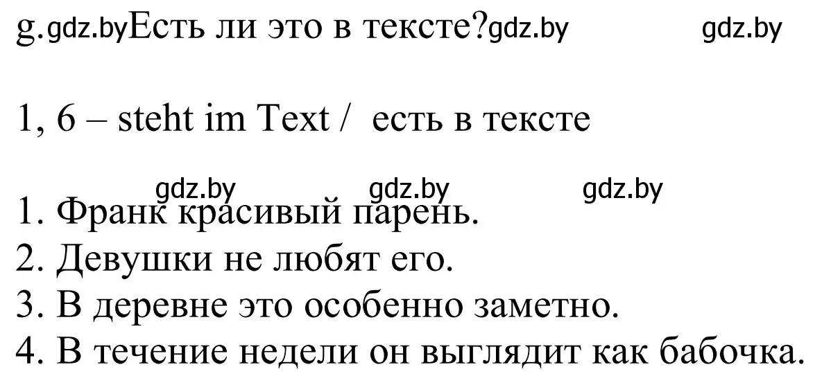 Решение номер 6g (страница 207) гдз по немецкому языку 10 класс Будько, Урбанович, учебник