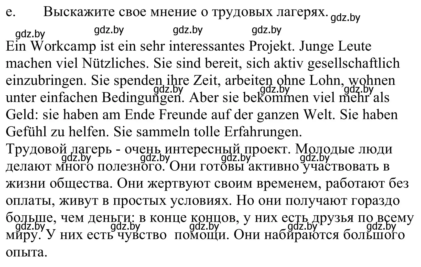 Решение номер 4e (страница 217) гдз по немецкому языку 10 класс Будько, Урбанович, учебник