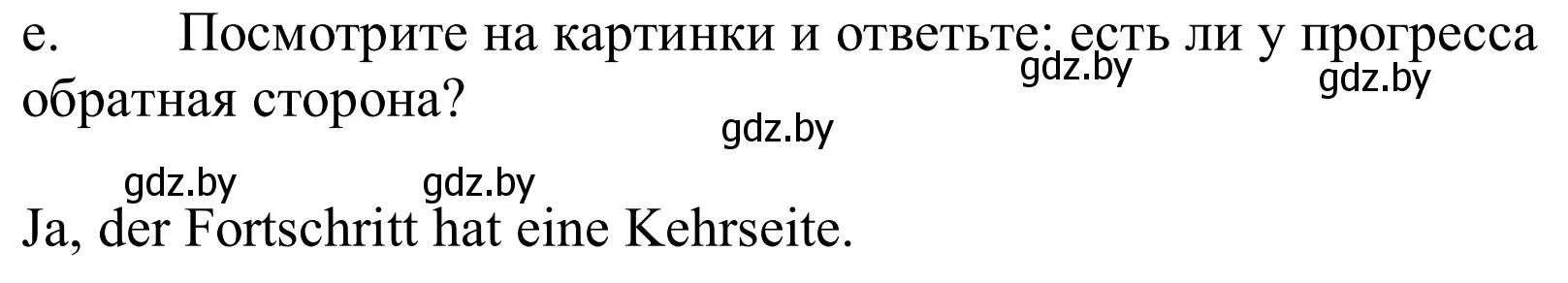 Решение номер 6e (страница 228) гдз по немецкому языку 10 класс Будько, Урбанович, учебник