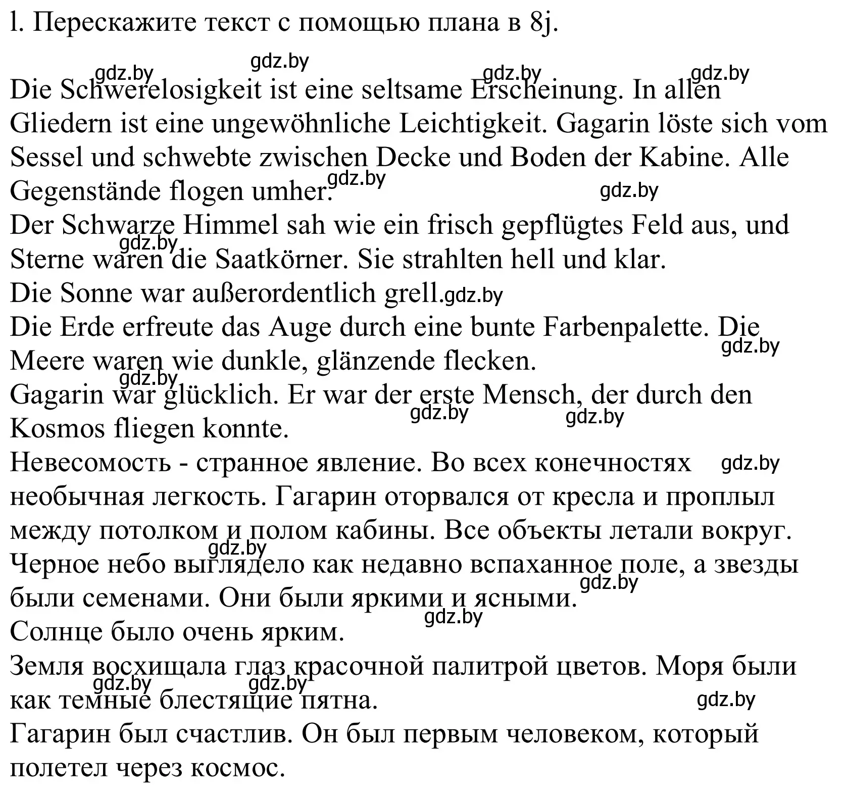 Решение номер 8l (страница 247) гдз по немецкому языку 10 класс Будько, Урбанович, учебник