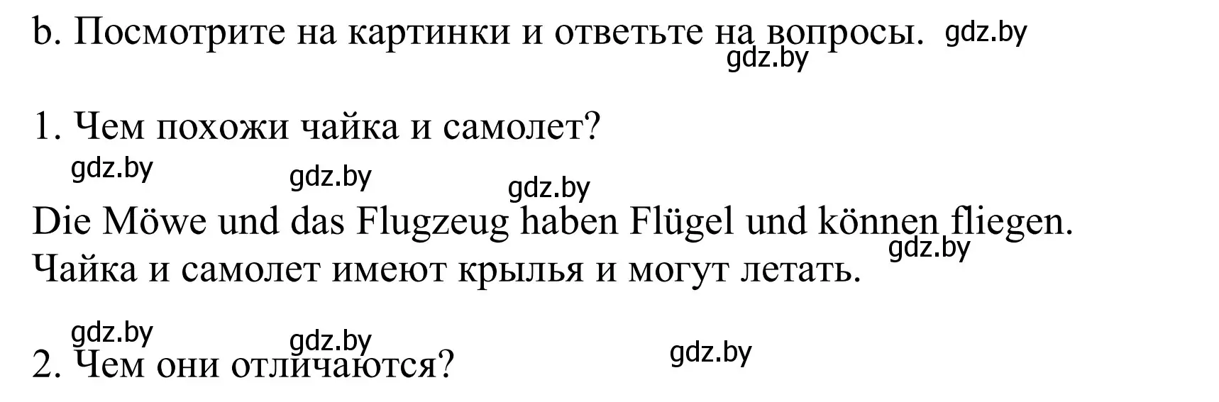 Решение номер 8b (страница 244) гдз по немецкому языку 10 класс Будько, Урбанович, учебник