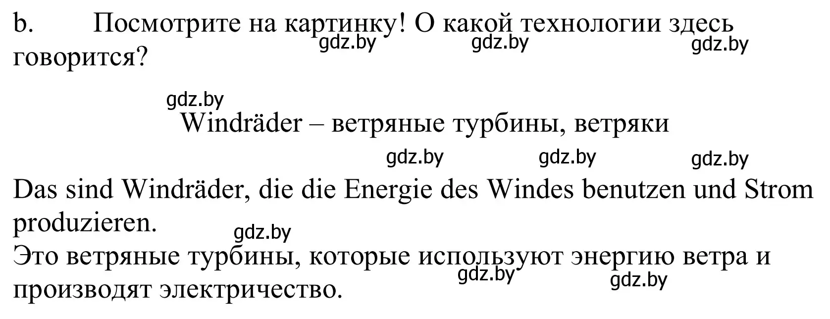 Решение номер 5b (страница 255) гдз по немецкому языку 10 класс Будько, Урбанович, учебник