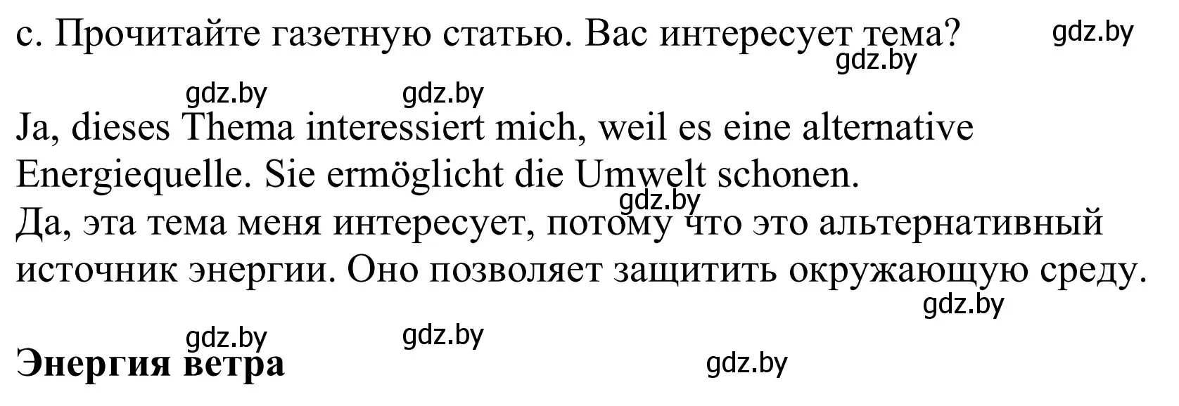 Решение номер 5c (страница 256) гдз по немецкому языку 10 класс Будько, Урбанович, учебник