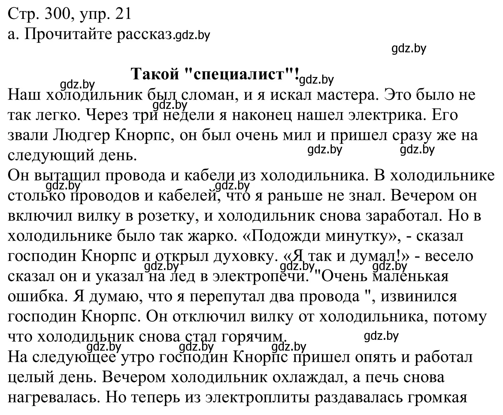 Решение номер 21 (страница 300) гдз по немецкому языку 10 класс Будько, Урбанович, учебник