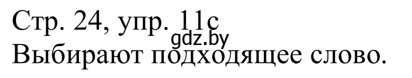 Решение номер 11c (страница 24) гдз по немецкому языку 11 класс Будько, Урбанович, учебник