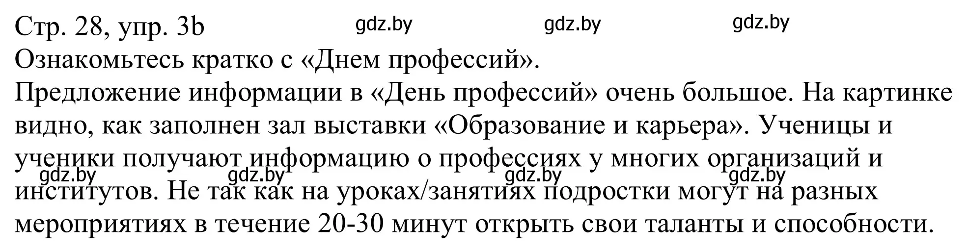 Решение номер 3b (страница 28) гдз по немецкому языку 11 класс Будько, Урбанович, учебник