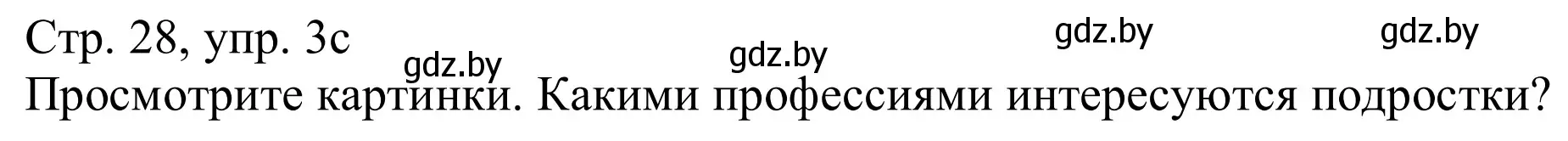 Решение номер 3c (страница 28) гдз по немецкому языку 11 класс Будько, Урбанович, учебник