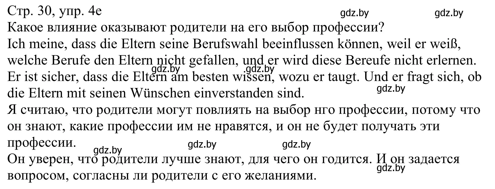 Решение номер 4e (страница 30) гдз по немецкому языку 11 класс Будько, Урбанович, учебник