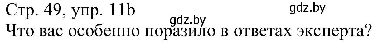 Решение номер 11b (страница 49) гдз по немецкому языку 11 класс Будько, Урбанович, учебник