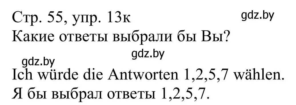 Решение номер 13k (страница 55) гдз по немецкому языку 11 класс Будько, Урбанович, учебник