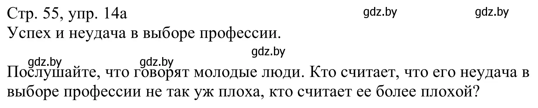 Решение номер 14a (страница 55) гдз по немецкому языку 11 класс Будько, Урбанович, учебник