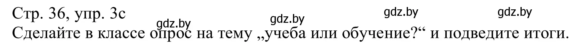 Решение номер 3c (страница 36) гдз по немецкому языку 11 класс Будько, Урбанович, учебник