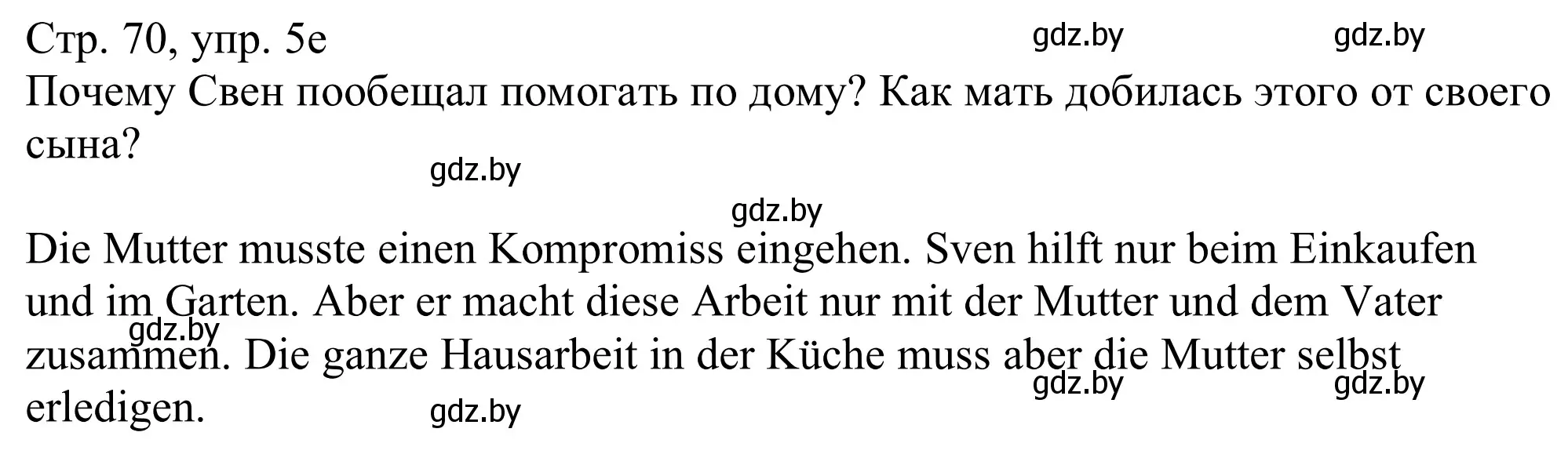 Решение номер 5e (страница 70) гдз по немецкому языку 11 класс Будько, Урбанович, учебник