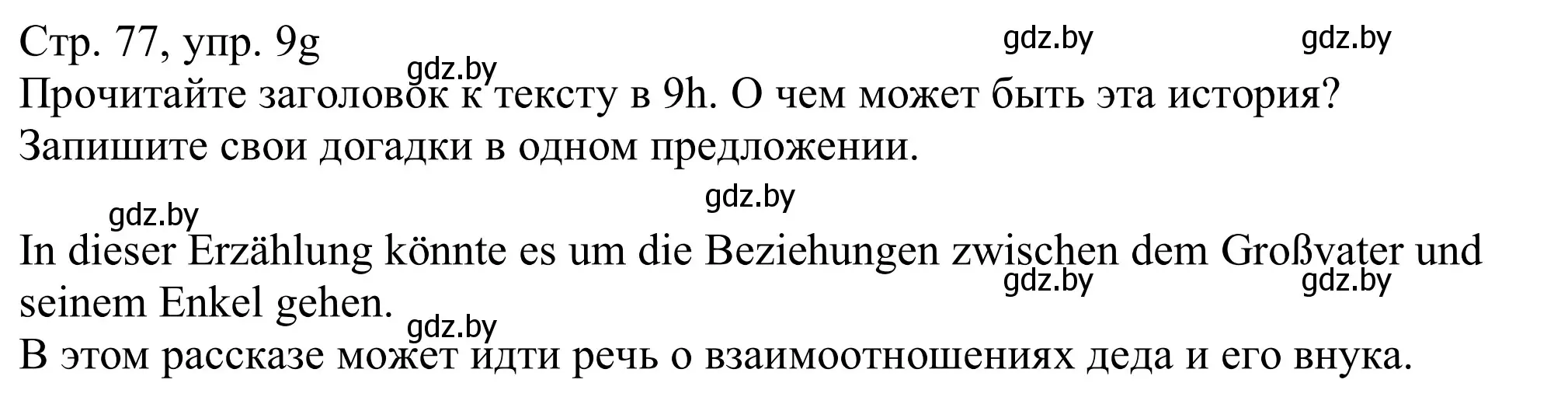 Решение номер 9g (страница 76) гдз по немецкому языку 11 класс Будько, Урбанович, учебник