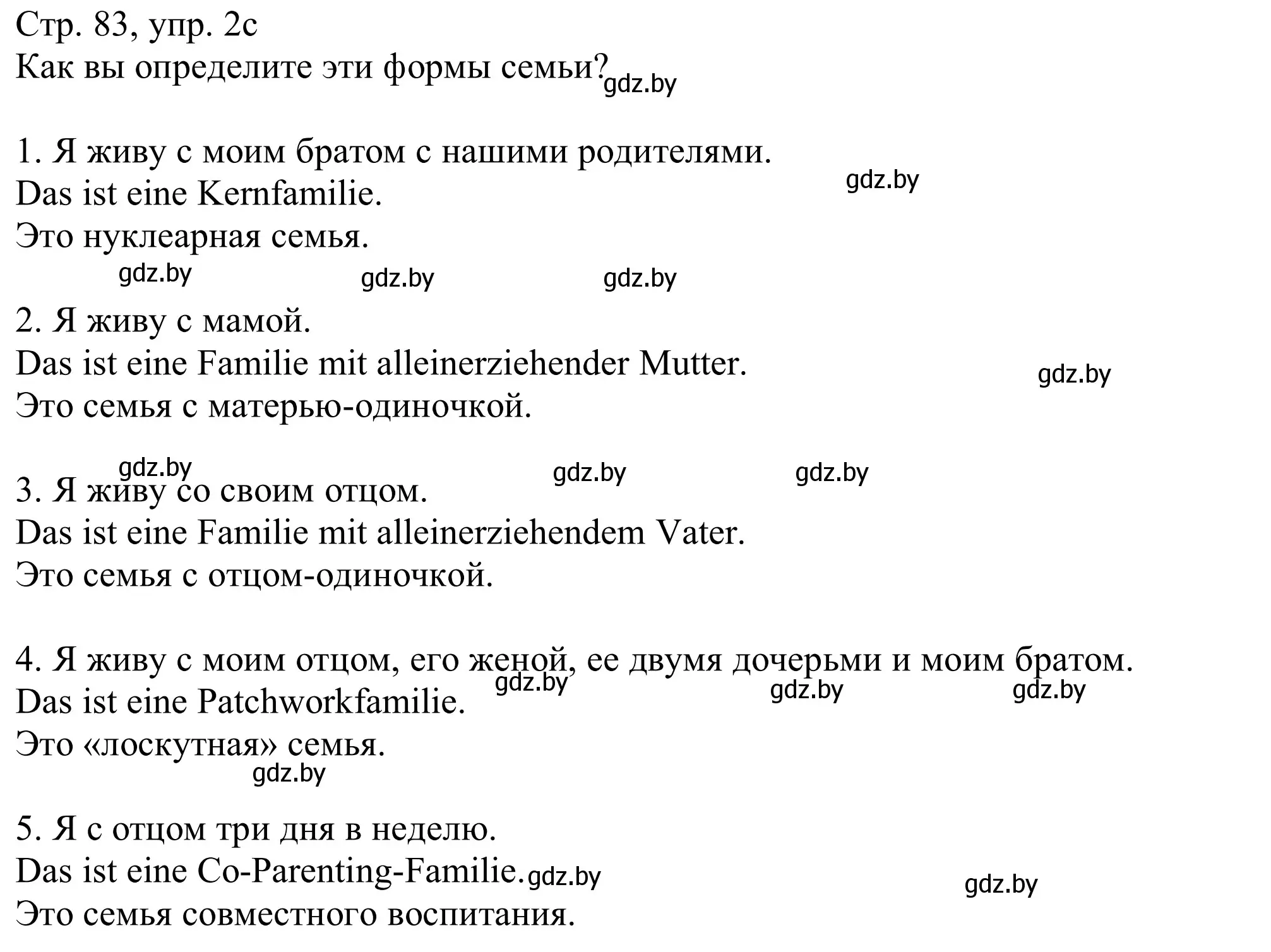 Решение номер 2c (страница 83) гдз по немецкому языку 11 класс Будько, Урбанович, учебник